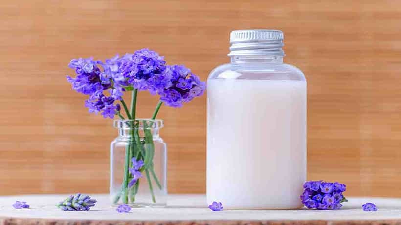 DIY Shampoo: চুলের যত্ন নিতে বাড়িতেই তৈরি করুন অরগ্যানিক শ্যাম্পু!