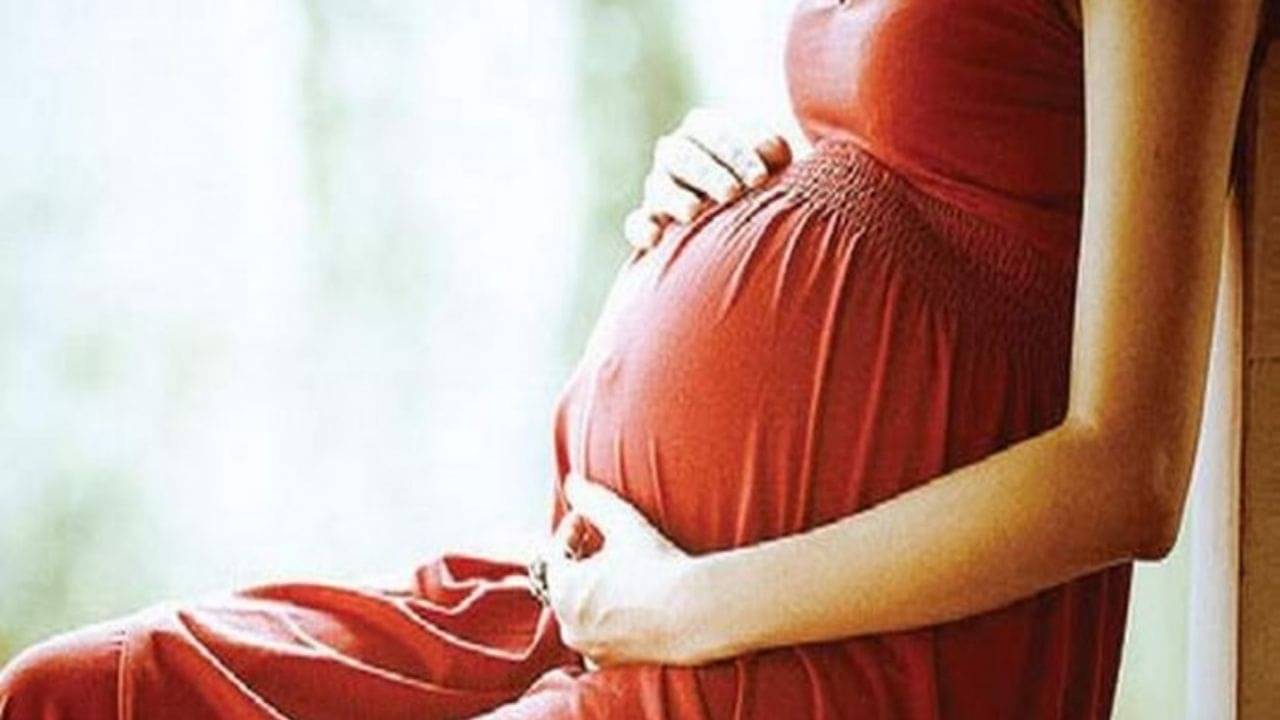 Navratri Fasting: নবরাত্রিতে গর্ভ‌বতী মহিলারা উপবাস রাখবেন ভাবছেন? খাদ্য চয়নের বিষয়ে আগে থেকেই সতর্ক হয়ে যান