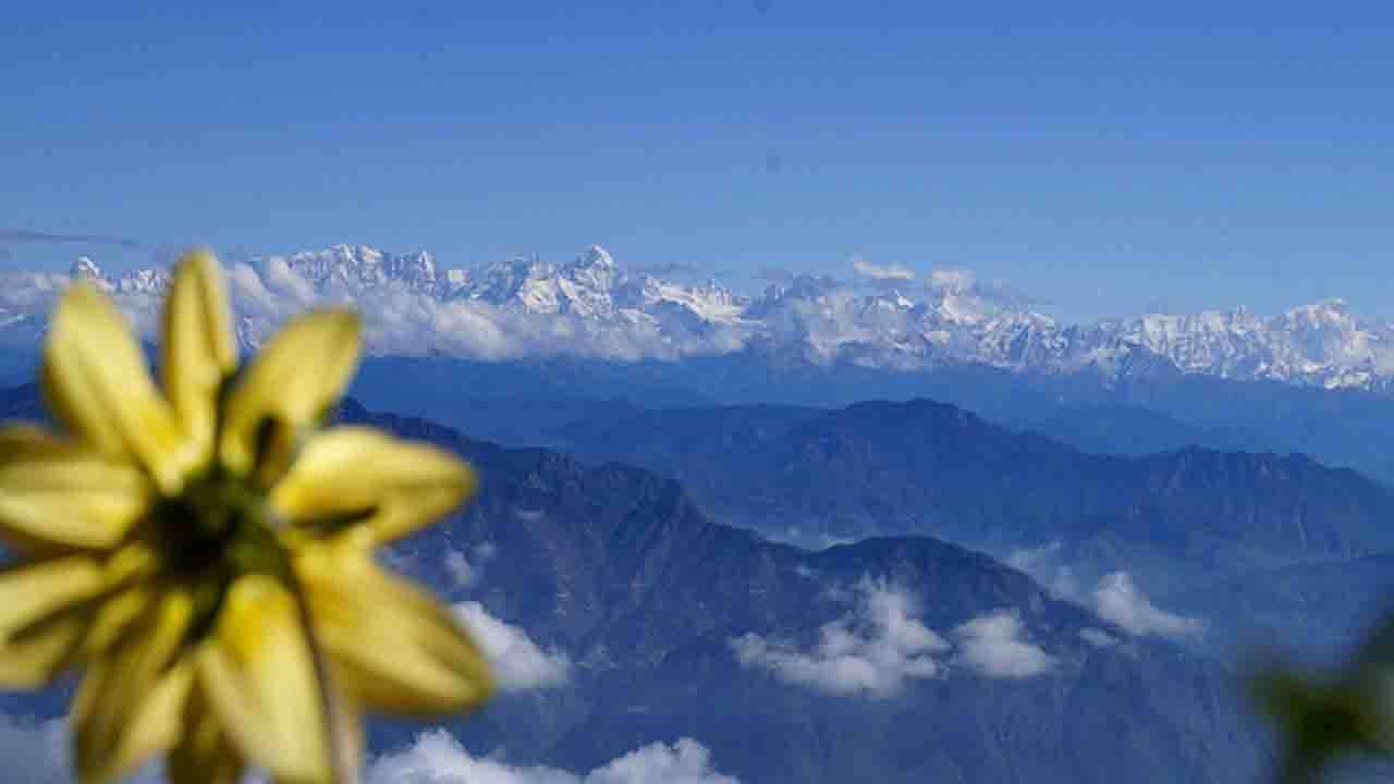 Kanatal Uttarakhand: জঙ্গলের ভিতরে ক্যাম্পিং করতে চান? রইল গাড়োয়ালের কোলে লুকিয়ে থাকা এক অফবিটের খোঁজ