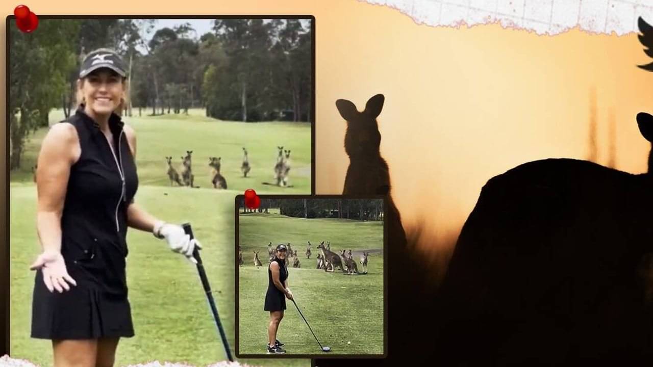 Viral Video: একজন মহিলা খেলোয়াড় গল্ফ খেলছেন আর তাঁকে উৎসাহ দিচ্ছে একদল ক্যাঙ্গারু, দেখুন ভাইরাল ভিডিয়ো...