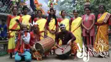 Musical Mangroves: সুন্দরী গাছ বাঁচাতে তথ্যচিত্র; জায়গা করে নিল উৎসবে!