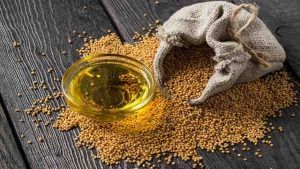Mustard Oil: ত্বকের ওপর কীভাবে প্রয়োগ করবেন সর্ষের তেল?