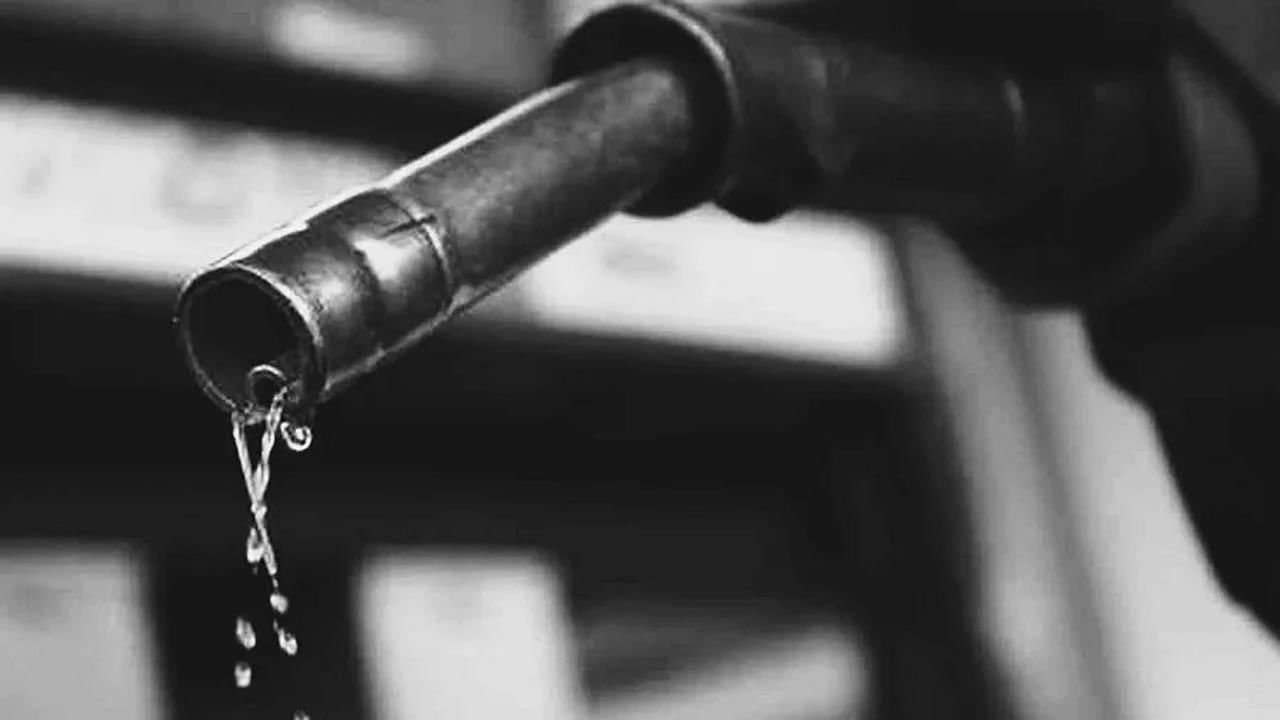 Petrol-Diesel Price Today: লাগাম ছাড়া দৌড়ের পর আজ জিরিয়ে নিল পেট্রোল-ডিজেল