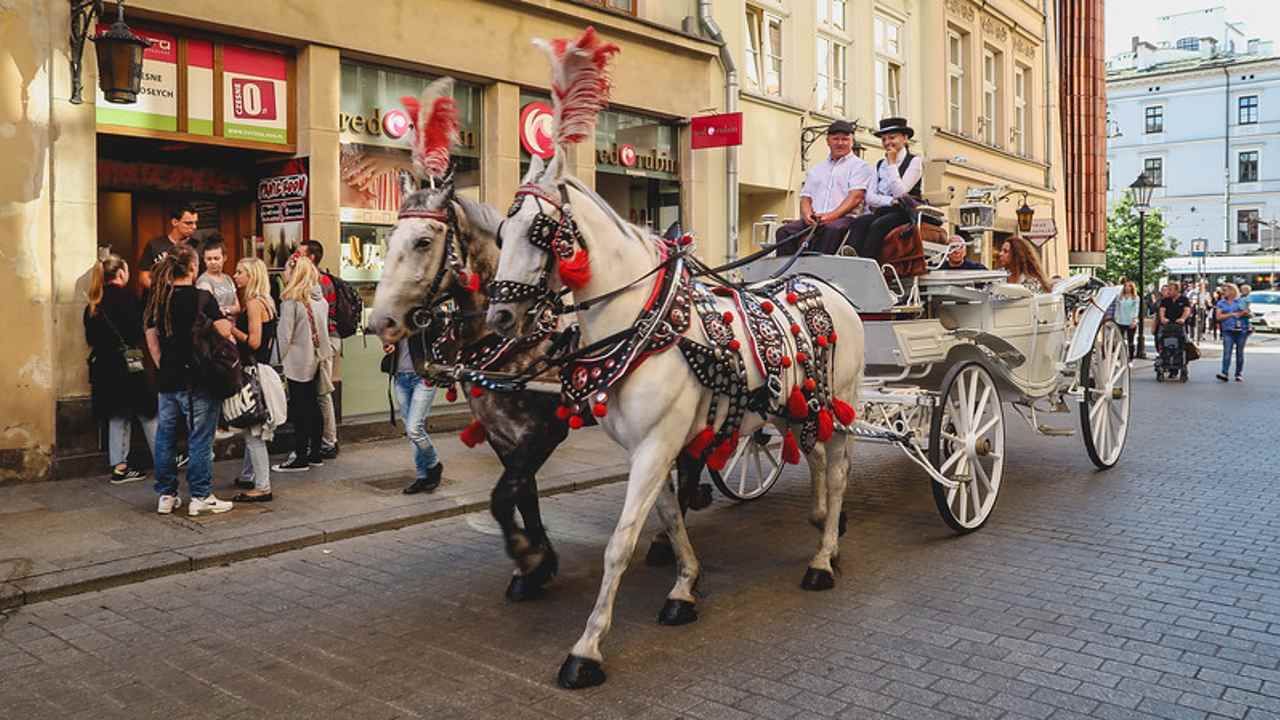 Poland Travel: কোয়ারেন্টাইন ছাড়াই পোল্যান্ড ভ্রমণ! কোভিশিল্ডের সঙ্গে ভ্যাক্স করা থাকলে ভারতীয় পর্যটকদের মানতে হবে না কোভিড বিধি!