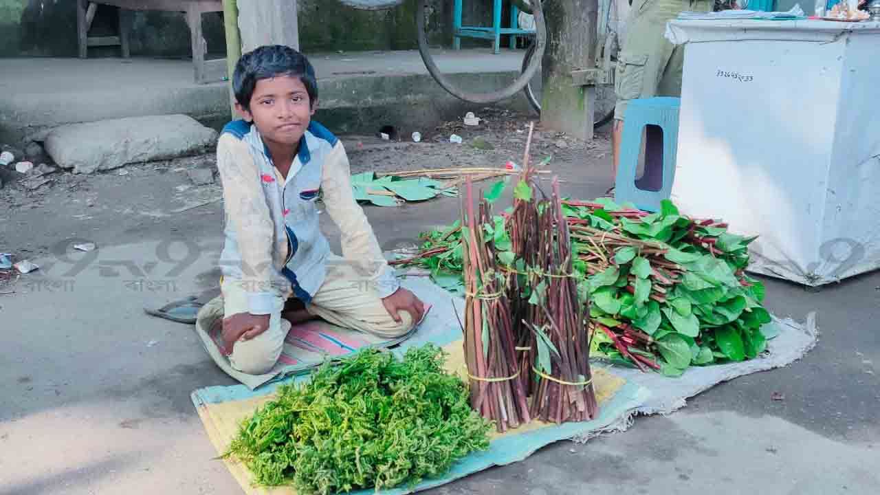 Dhupguri: চা বিক্রি করে আয় নেই বাবার, নতুন জামা দেবে কী করে! পথের ধারে শাক বেচছে ছোট্ট ছেলে