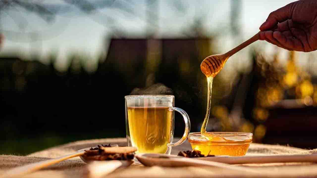 Health Tips: গরম জলের সঙ্গে মধু মিশিয়ে পান করেন? অজান্তেই ক্ষতি ডেকে আনছেন নিজের