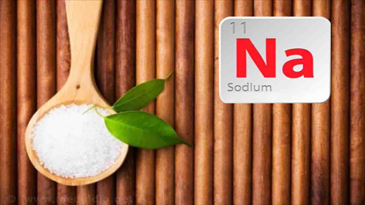 Nutrition Tips: নুন ছাড়া খাবার খান? জেনে নিন শরীরে কতটা প্রয়োজন রয়েছে সোডিয়ামের Nutrition Tips: নুন ছাড়া খাবার খান? জেনে নিন শরীরে কতটা প্রয়োজন রয়েছে সোডিয়ামের