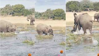 Viral Video: ভাইরাল নাচকে ঘিরে সমালোচনায় তোলপাড় নেটপাড়া! শেষমেশ মুখ খুললেন ইউ এনের এক সদস্য…