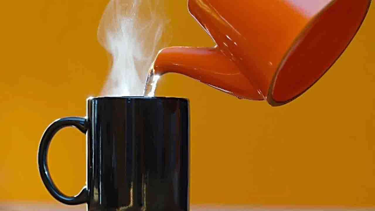 Health Tips: গরম জলের সঙ্গে এই উপাদানগুলি মিশিয়ে পান করুন! দূর হয়ে যাবে অনেক সমস্যাই