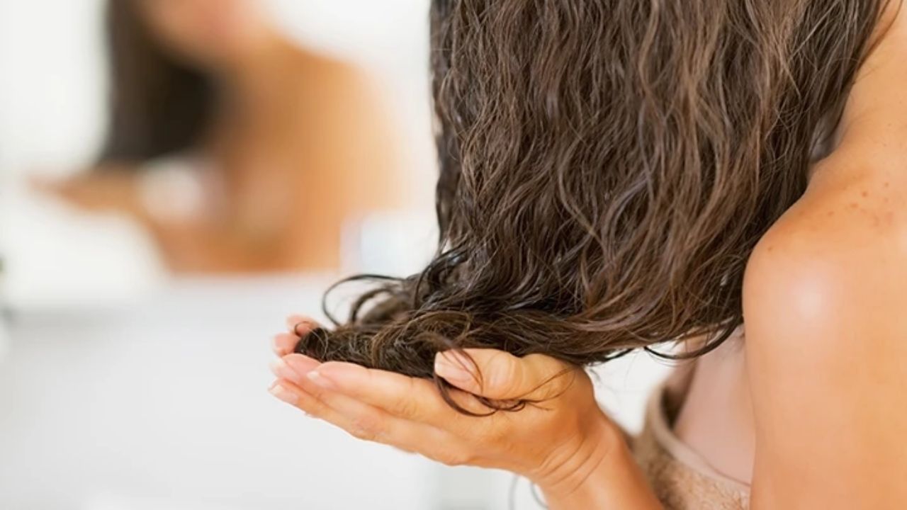 Winter Hair Care: Make these two types of hair masks at home and remove all  chances of hair loss in winter … | Triphala and bhringraj hair mask to prevent  hair fall