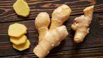 Ginger Side Effects: অতিরিক্ত পরিমাণে আদা খেলে আপনার স্বাস্থ্য বিভিন্ন ধরনের ক্ষতির সম্মুখীন হতে পারে, কীভাবে তা জেনে নিন...