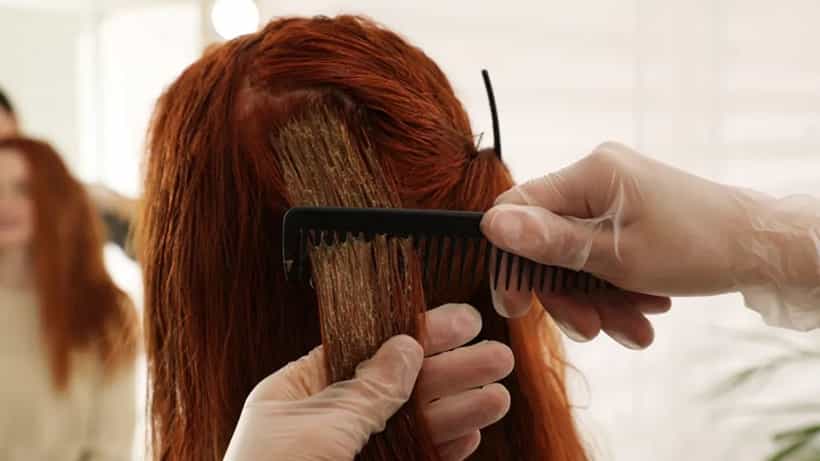 Hair Care Tips: চুল কালো করতে প্রাকৃতিক উপাদান ব্যবহার করেও ফল পাচ্ছেন না? হেনার সঙ্গে মিশিয়ে নিন এই দুটি উপাদান...