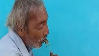 Viral Video: তিনটে চোখ-দুটো মাথা, নীল জিভের পুঁচকে টিকটিকির ভিডিয়ো রাতারাতি ভাইরাল!