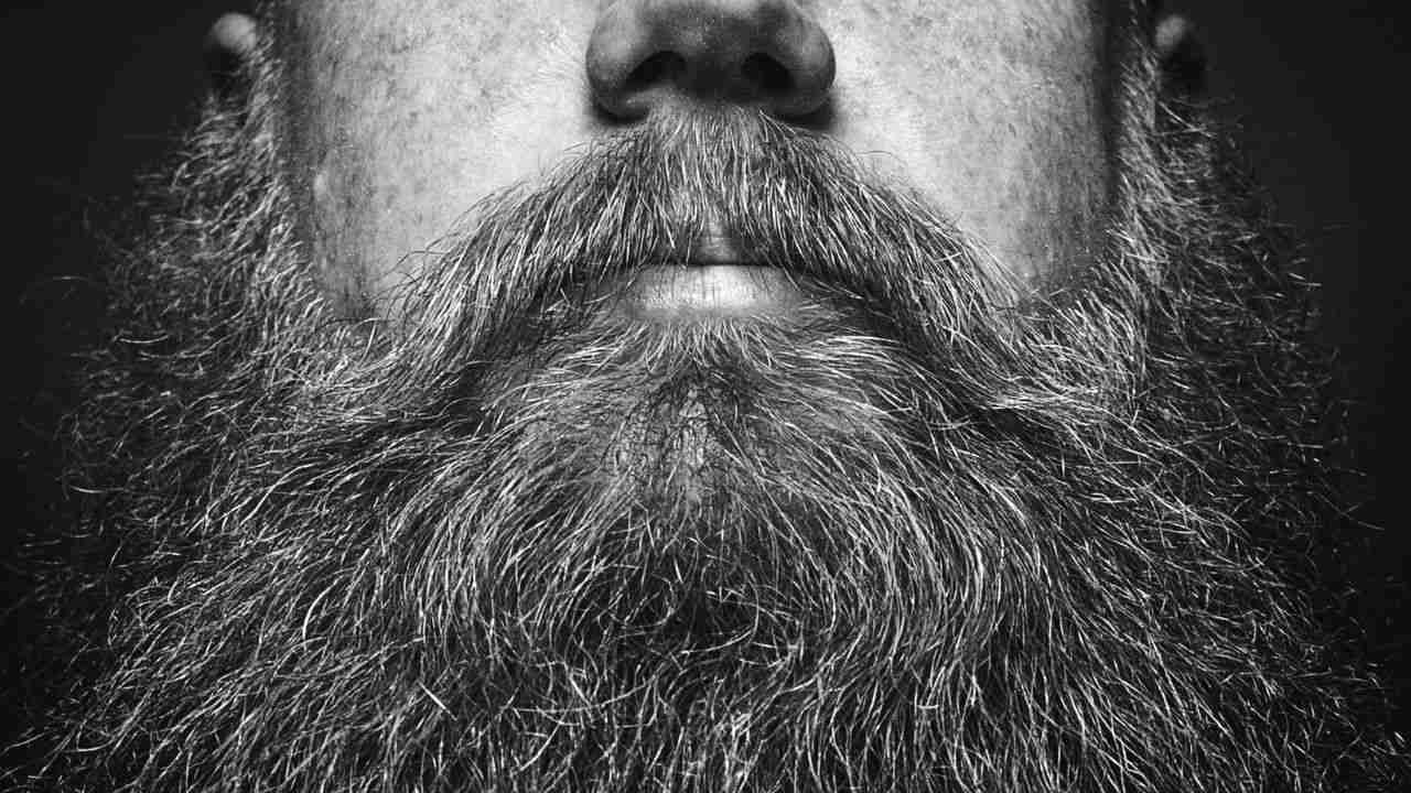 Beard Care: ঘন কালো দাড়ি পেতে কোন কোন পদ্ধতি মেনে চলতে হবে পুরুষদের, বিস্তারিত জেনে নিন...