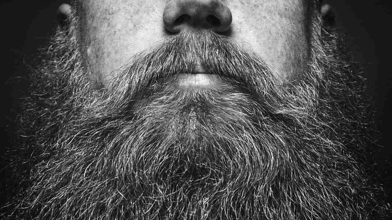 Beard Care: ঘন কালো দাড়ি পেতে কোন কোন পদ্ধতি মেনে চলতে হবে পুরুষদের, বিস্তারিত জেনে নিন... Beard Care: ঘন কালো দাড়ি পেতে কোন কোন পদ্ধতি মেনে চলতে হবে পুরুষদের, বিস্তারিত জেনে নিন...