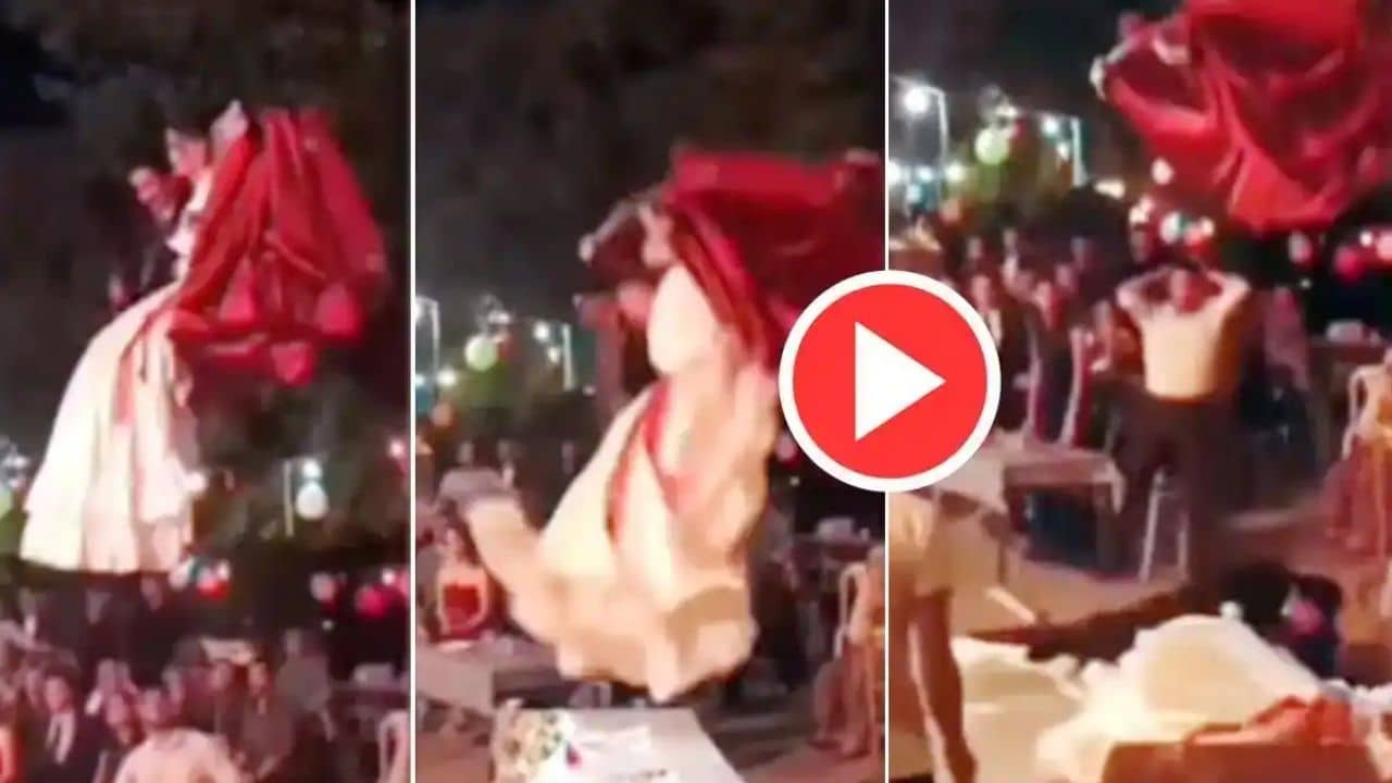 Viral Video: বেশ সুন্দর দোলনায় দুলছিলেন, হঠাৎই ভারসাম্য হারিয়ে ফেলেন, তারপরই ভাইরাল সেই দম্পতি...