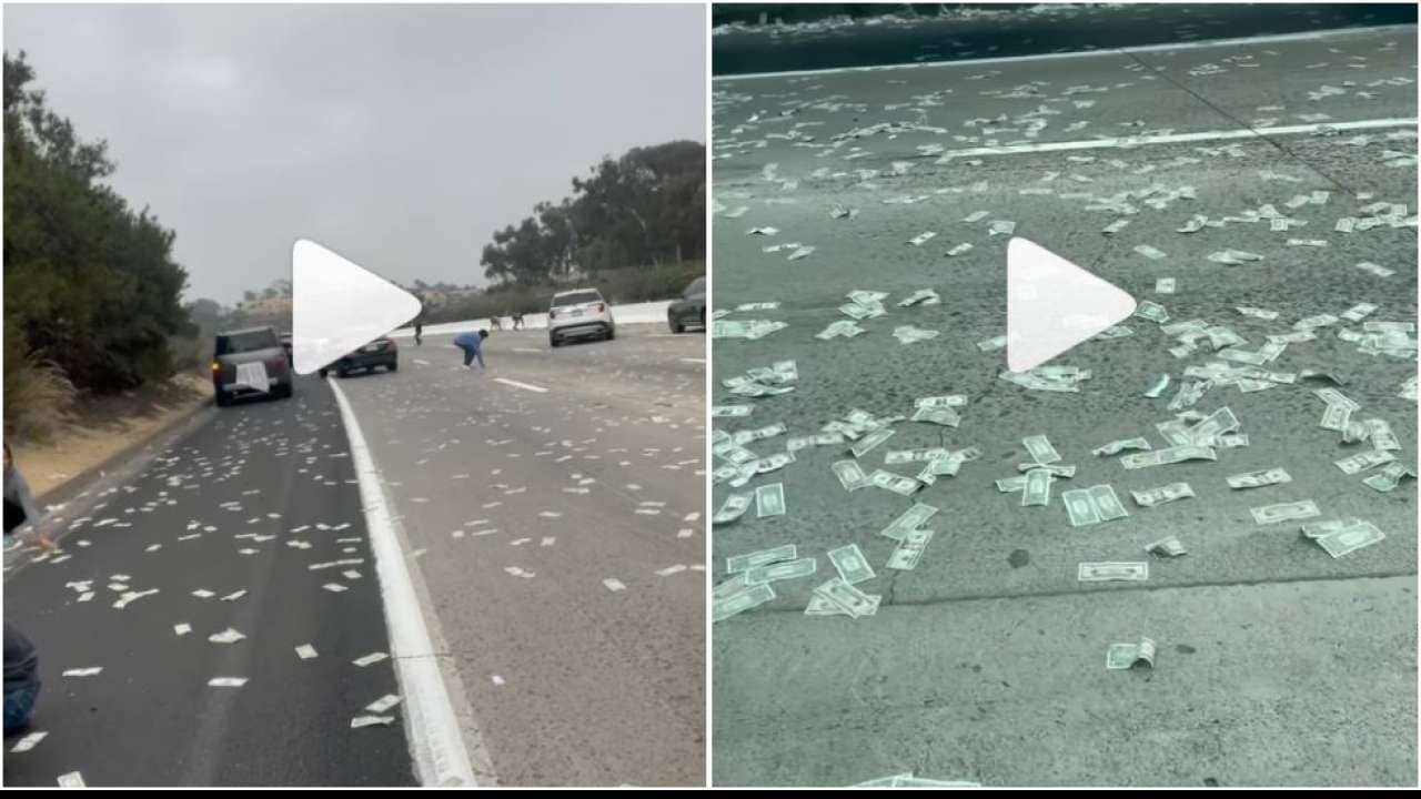 Viral Video: হাইওয়েতে ডলারের বৃষ্টি! গাড়ি থামিয়ে রাস্তা থেকে ডলার কুড়চ্ছে মানুষজন, দেখুন সেই ভাইরাল ভিডিয়ো...