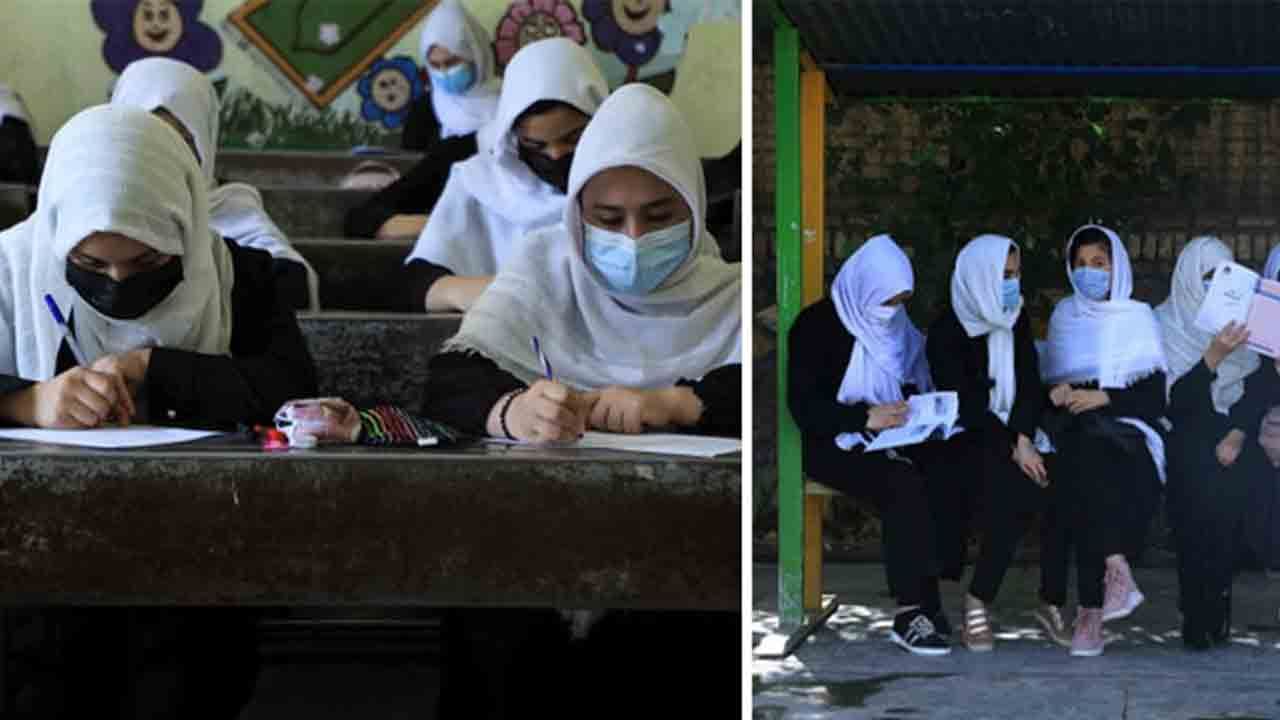 Open Girl School in Afghanistan: তালিব রাজ্যে স্কুলে যাচ্ছে মেয়েরা, তবে কি সত্যি এবার নরম হচ্ছে তালিবান?