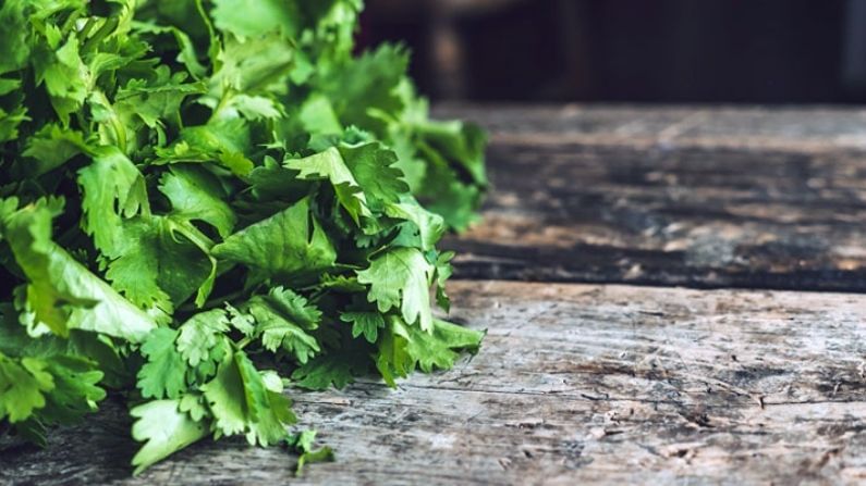 Coriander Hair Mask: This vegetable is especially useful for hair care,  find out how to make this vegetable hair mask … | Coriander leaves hair  mask for shiny and smooth hair | PiPa News