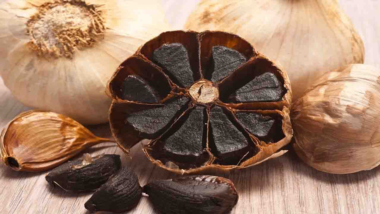Black Garlic Benefits: সাধারণ রসুনের থেকে এর স্বাস্থ্য উপকারিতা দ্বিগুণ! এমন কী বিশেষত্ব রয়েছে এই কালো রসুনের মধ্যে, জেনে নিন