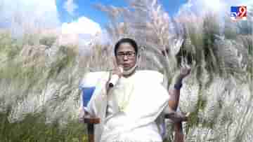 Mamata Banerjee: এবার কাশফুল-শিল্প, মমতার সাজেশন, প্রচুর টাকায় বিক্রি হবে বালিশ-বালাপোশ