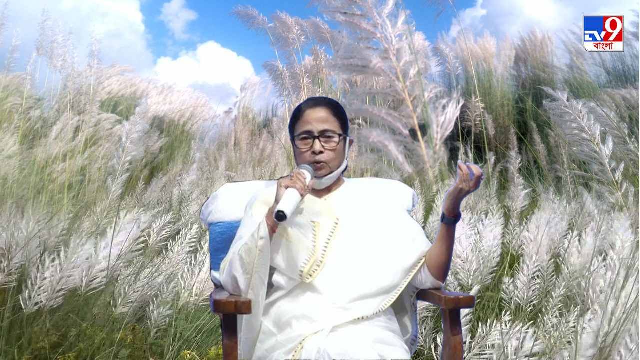 Mamata Banerjee: এবার কাশফুল-শিল্প, মমতার 'সাজেশন', 'প্রচুর টাকায় বিক্রি হবে বালিশ-বালাপোশ'