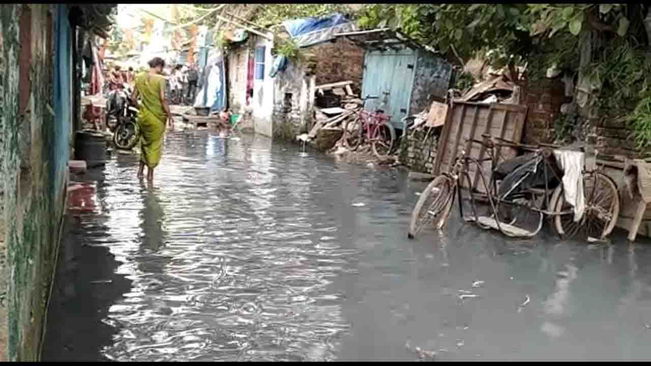 Stagnant water in Kolkata: কলকাতায় জমা জলে বাড়ছে ডেঙ্গি, ম্যালেরিয়ার আতঙ্ক; ভয়ে সিঁটিয়ে ৫০০ পরিবার