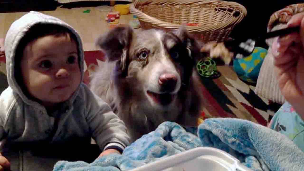 Viral Video: কোলের সন্তানের আগেই মা বলা শিখল বুদ্ধিমান এই সারমেয়! দেখুন ভিডিয়ো