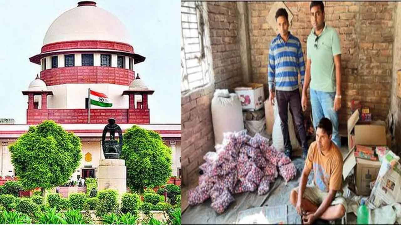 Fire Crackers Business: আমরা খাবো কী, সেটাও তো ভাবতে হবে! আলোর পুজোতে প্রদীপের নীচে রয়েছে ওঁদের সংসার