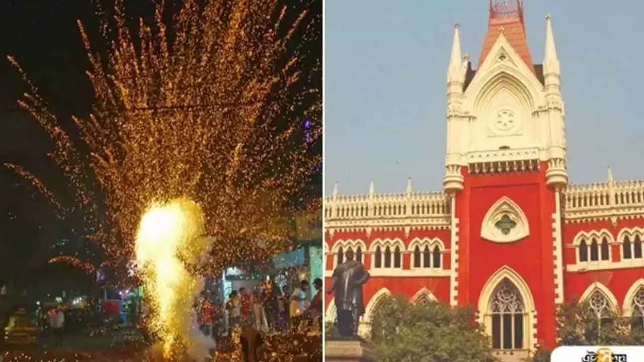 Fire Crackers: রাত পোহালেই কালীপুজো, আজ হাইকোর্টে ফের বাজি-মামলা! 'পেসো'র স্বীকৃত বাজির পক্ষে সওয়াল