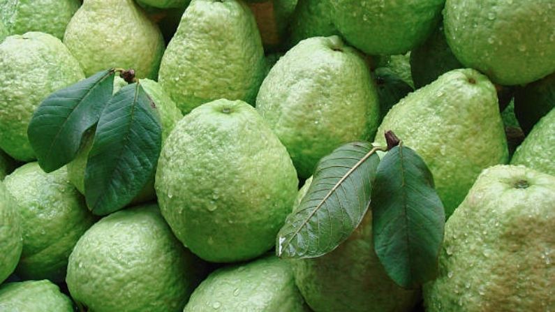 পেয়ারা: পেয়ারা এখন মোটামুটি সারা বছরই পাওয়া যায়। তবুও এই ফলের গুণাগুণের কোনও তুলনা হয় না। ভিটামিন সি ও অ্যান্টিঅক্সিডেন্ট সমৃদ্ধ এই ফল মুক্ত র‍্যাডিকেলের হাত থেকে শরীরকে রক্ষা করতে সাহায্য করে।