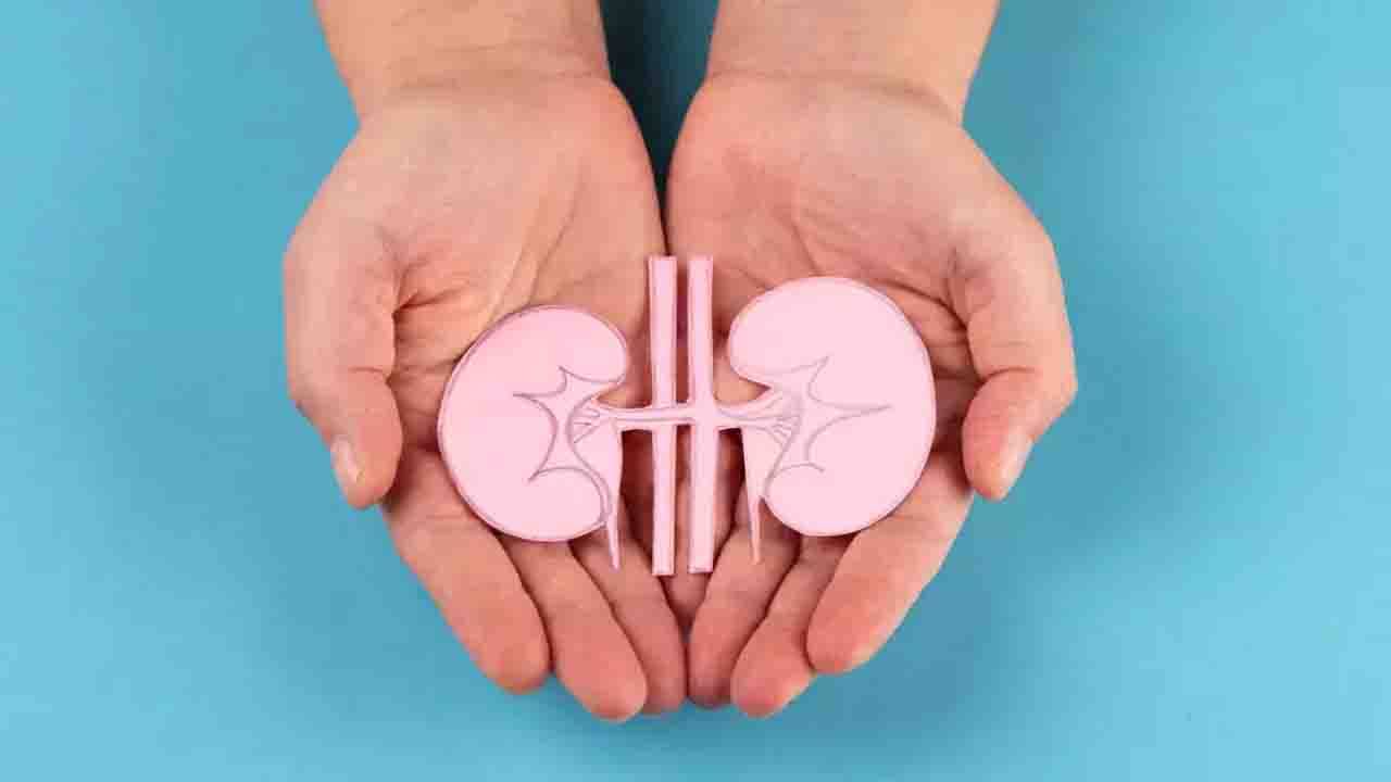 Hyperkalemia: কিডনির সমস্যা থাকলে শরীরে তৈরি হয়ে পারে হাইপারক্যালেমিয়া! জেনে নিন এই রোগ সম্পর্কে