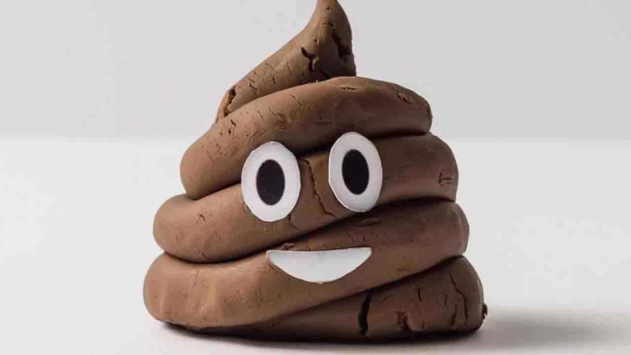 Electricity From Human Poop: মানুষের মল থেকে বিদ্যুৎ উৎপাদন, গবেষণায় আশার আলো দেখালেন ইজ়রায়েলের বিজ্ঞানী দল Electricity From Human Poop: মানুষের মল থেকে বিদ্যুৎ উৎপাদন, গবেষণায় আশার আলো দেখালেন ইজ়রায়েলের বিজ্ঞানী দল