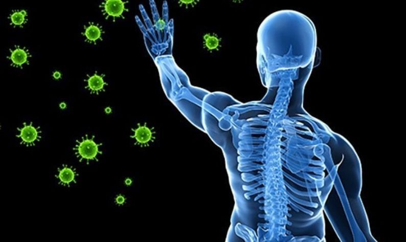 Immune System: শরীর রোগ প্রতিরোধ ক্ষমতা যে শূণ্য, তা বুঝবেন কীভাবে?