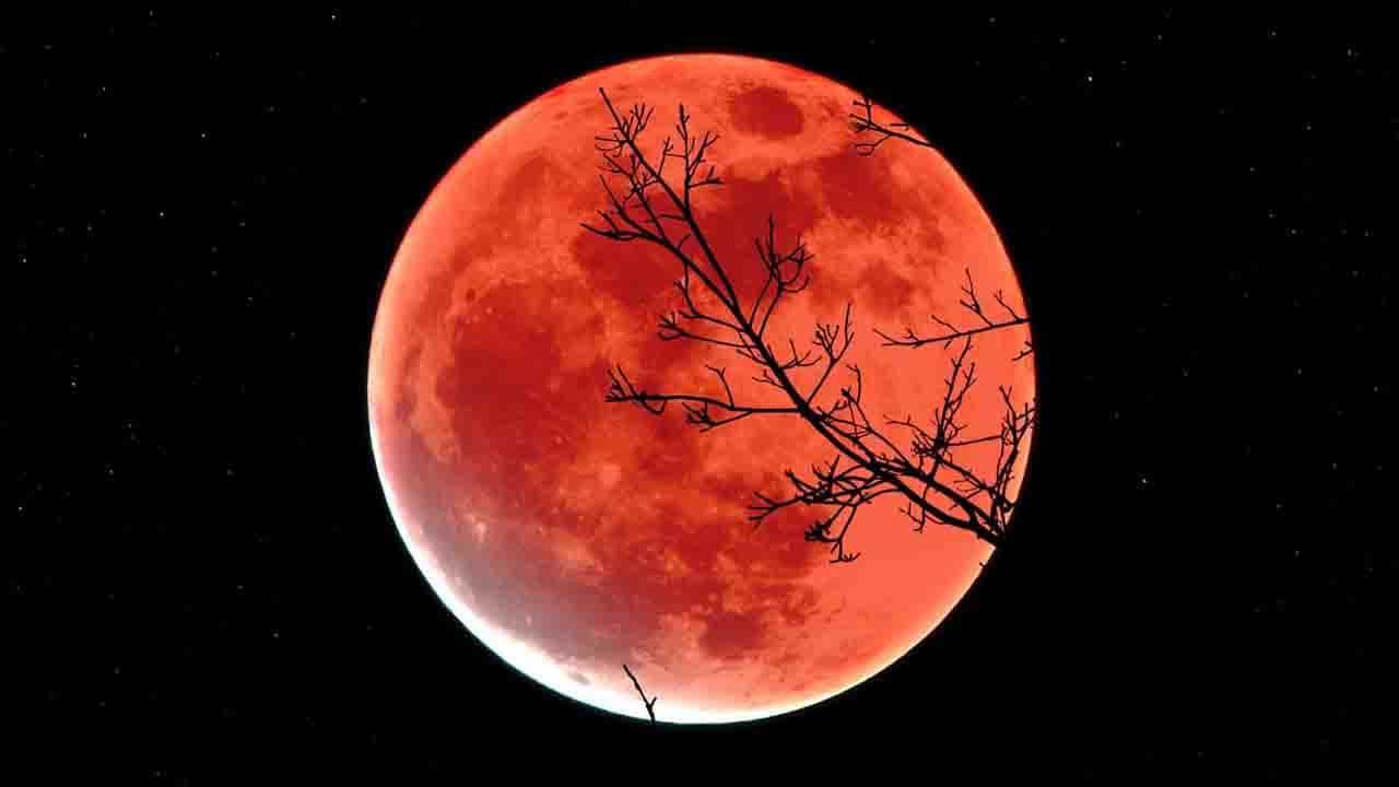 Longest Lunar Eclipse In 580 Years: শতাব্দীর দীর্ঘতম আংশিক চন্দ্রগ্রহণ, কবে, কখন, কোথায় দেখা যাবে? সব তথ্য জেনে নিন Longest Lunar Eclipse In 580 Years: শতাব্দীর দীর্ঘতম আংশিক চন্দ্রগ্রহণ, কবে, কখন, কোথায় দেখা যাবে? সব তথ্য জেনে নিন
