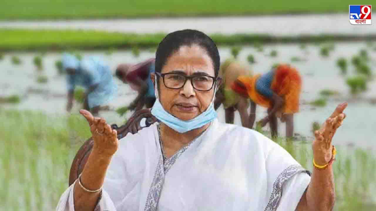 Mamata will visit Delhi: সংসদের শীতকালীন অধিবেশনের রণকৌশল ঠিক করতে চলতি সপ্তাহেই দিল্লি সফর মমতার