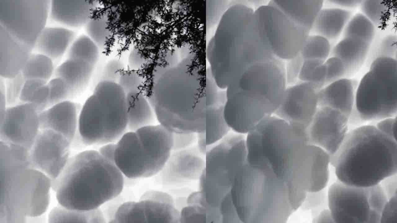 Viral Video: মেঘ নাকি তুলোর বল? আর্জেন্তিনার আকাশে অস্বাভাবিক মেঘদলের আঁকিবুকি মন জিতল নেটাগরিকদের!