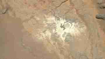 Perseverance Mars Rover: মঙ্গলগ্রহের পৃষ্ঠদেশে আঁচড় দেখতে পেয়েছে নাসার পাঠানো রোভার, দেখুন ছবি