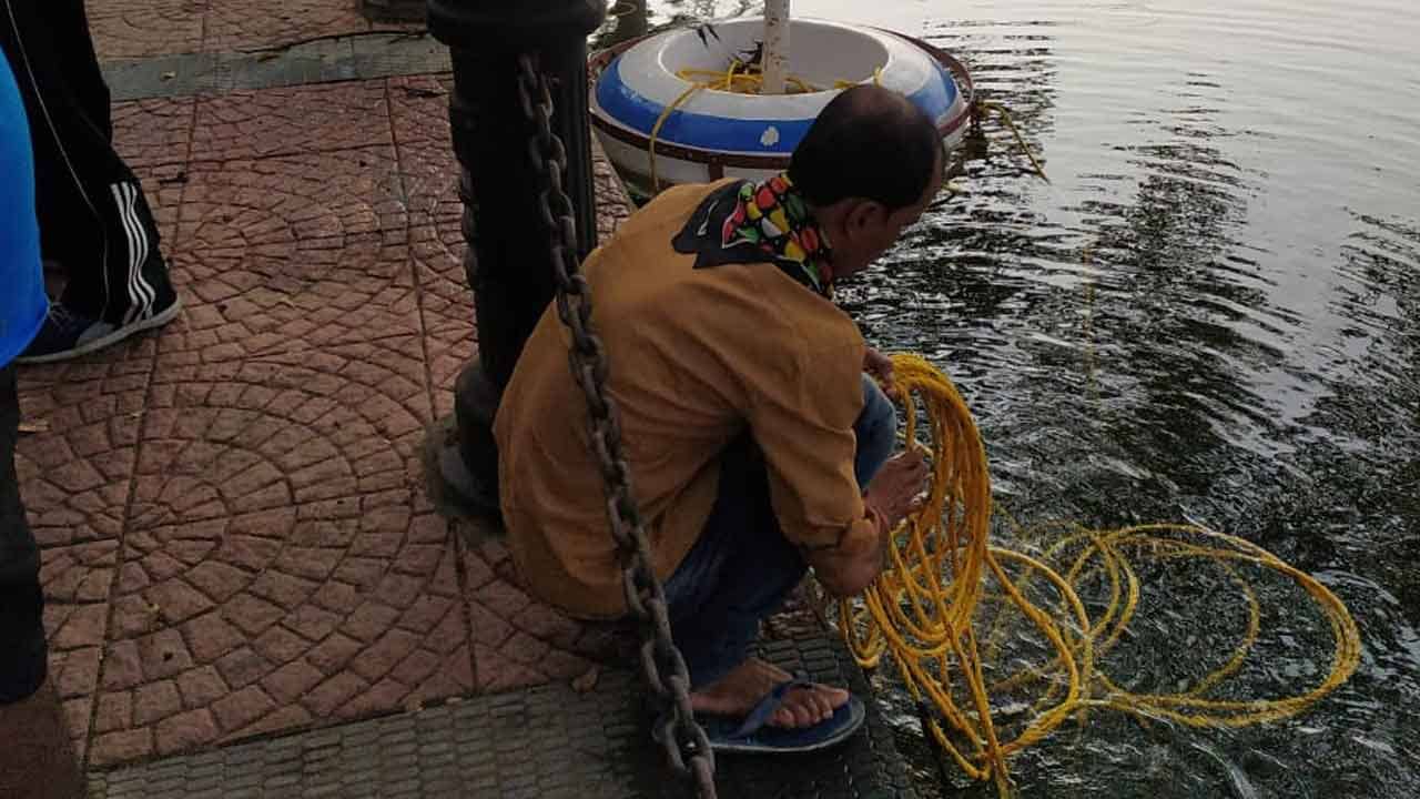 Rabindra Sarobor: ভেসে উঠছে মরা মাছ! সরোবরে অক্সিজেনের মাত্রা ঠিক রাখতে খুলে ফেলা হল লক্ষাধিকের ফাউন্টেন