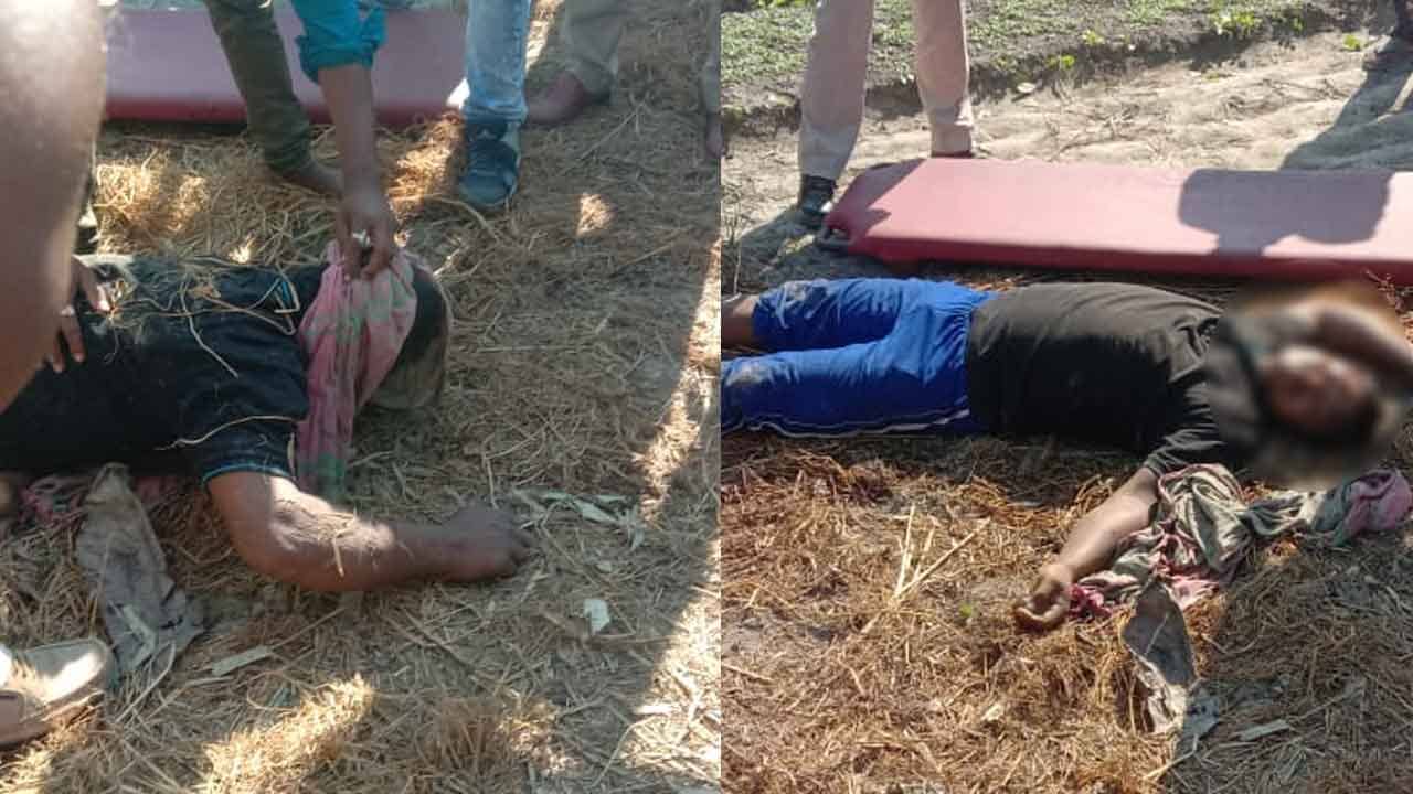 Cooch Behar BSF: সিতাই সীমান্তে বিএসএফের গুলি, নিহত ৪  গরু পাচারকারি