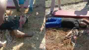 Cooch Behar BSF: সিতাই সীমান্তে বিএসএফের গুলি, নিহত ৪  গরু পাচারকারি