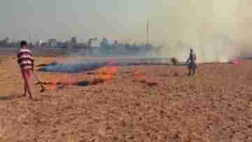 Stubble Burning: একর পিছু ৭ হাজার টাকা ক্ষতিপূরণ না পেলে..., পঞ্জাবে এখনও পুড়ছে খড়কুটো