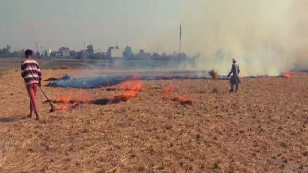 Stubble Burning: 'একর পিছু ৭ হাজার টাকা ক্ষতিপূরণ না পেলে...', পঞ্জাবে এখনও পুড়ছে খড়কুটো