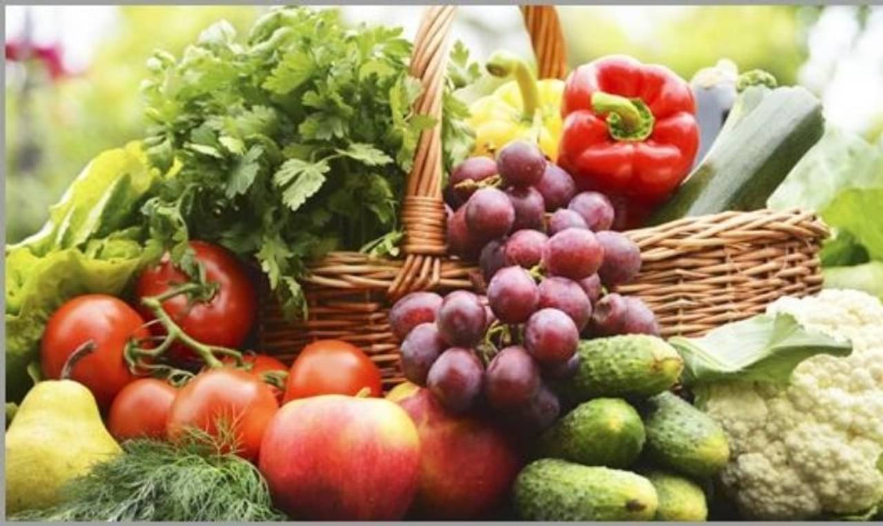 Winter Season: মরসুমি ফল-সবজি খাওয়া উচিত, চিকিত্সকদের এই পরামর্শ কতটা যুক্তিযুক্ত?