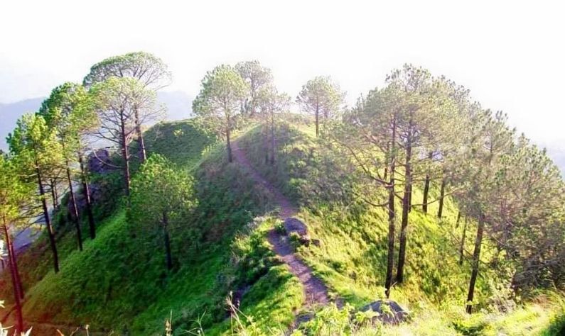 গিলবার্ট ট্রেইল- কাসৌলির সবচেয়ে সেরা পর্যটন স্থানগুলির মধ্যে গিলবার্ট ট্রেইল অন্যতম। প্রকৃতিপ্রেমীদের জন্য স্বর্গরাজ্য। ১.৫ কিমি দীর্ঘ পাথুরে সবুজে ঘেরা রাস্তায় হেঁটে যাওয়া জীবনের এক অনন্য অভিজ্ঞতা। প্রাকৃতিক সৌন্দর্য ছাড়াও পাখিদের কলরব আপনার মনকে তাজা করে তুলবে।