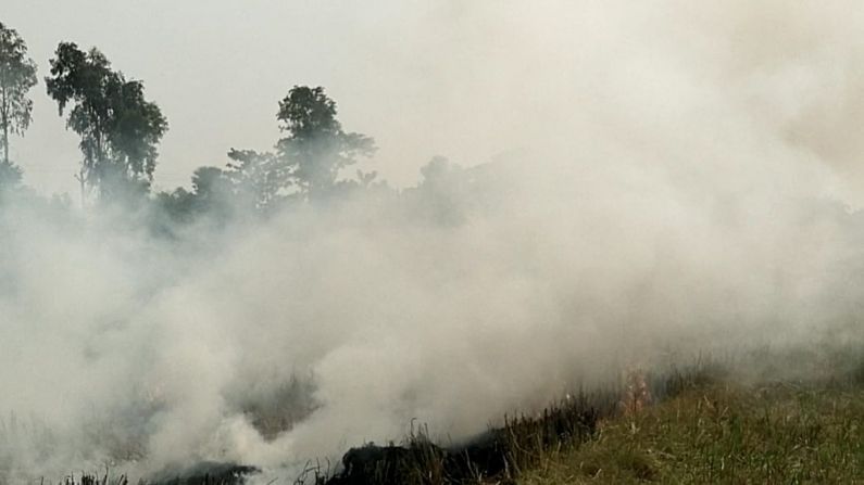 এদিকে ধান কাটার মরসুমে চলছে এইসমস্ত মেশিনের ব্যবহার। মেশিনে ধান কাটার পর জমিতে পড়ে থাকছে নাড়া ও খড়। এসব চাষিরা সংগ্রহ না করে জমি পরিষ্কার করতে আগুন লাগিয়ে তা নষ্ট করার প্রবণতা দিনদিন বেড়েই চলেছে।