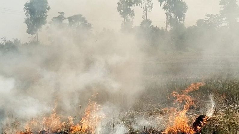 কিন্তু জমিতে আগুন লাগিয়ে নাড়া পোড়ানোর জেরে জমির উর্বরতা নষ্ট যেমন হয় পাশাপাশি পরিবেশ দূষণের মাত্রা অনেকটাই বাড়িয়ে দেয়। এসব জেনেও তা অবাধে চালিয়ে যাচ্ছে চাষীরা। এর জেরে কালো ও ঘন ধোঁয়ায় ঢাকছে গোটা এলাকা। আগুনের তাপে জমিতে থাকা কৃষকের বন্ধু বলে পরিচিত 'কেঁচো' নষ্ট হচ্ছে তেমনই কীটপতঙ্গও ধ্বংস হচ্ছে।  এবিষয়ে কৃষি দপ্তরের তরফে কৃষকদের সচেতনতায় প্রচার বা কর্মশালা করা হলেও প্রতিবছরই ধান কাটার পর জমিতে আগুন লাগানোর মতো ঘটনা ঘটে চলেছে। যদিও কৃষকদের দাবি, একে শ্রমিকের অভাব, তার পর ধান কাটার খরচও বেশি। সময়ও প্রচুর লাগে। তাই বিগত কয়েকবছর ধরে অত্যাধুনিক কম্বাইন হারভেরস্টার মেশিনের সাহায্যে তাঁরা ধান কাটছেন। এতে স্বল্প সময়ে জমিতেই বিঘার পর বিঘা জমির ধান কাটাই ঝাড়াই হয়ে বাড়ি চলে যায়।