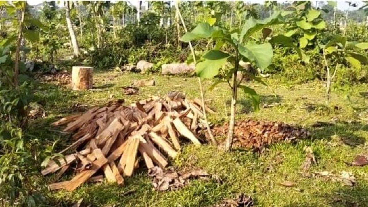 কাঠ পাচারের খবর সম্প্রচার হতেই করা ভূমিকায় বনদফতর। এবার জ্বালানি কাঠ হিসাবে বাজারে আসারে শাল কাঠের পাচার আটকাতে অভিযান চালালো মরাঘাট রেঞ্জ। 