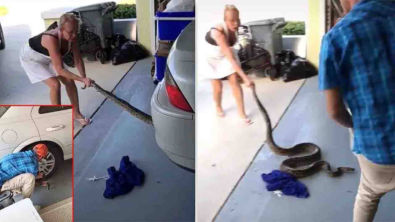 Viral Video: গাড়ির চাকা থেকে পাইথন বের করার মরিয়া চেষ্টা, মা-ছেলের টিমওয়ার্ক নেটাগরিকদের মন জিতে নিল!