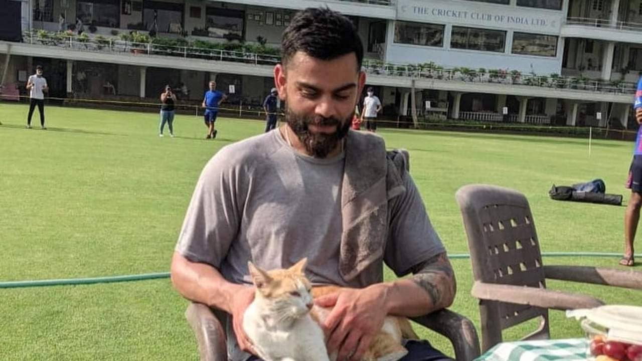 India vs New Zealand: অনুশীলনে ফিরেই খোশমেজাজে কোহলি